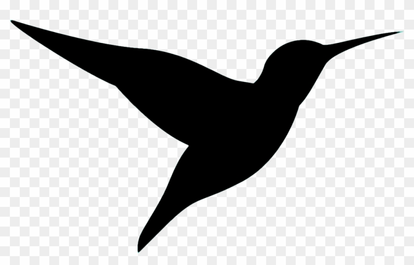 Hummingbird #1754531