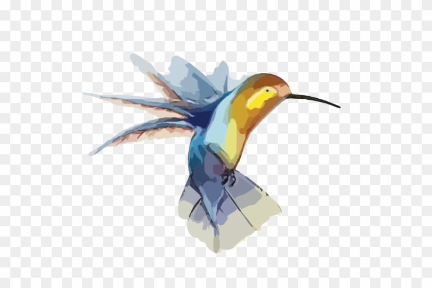 Hummingbird Clipart Transparent Background - Transparent Hummingbird #1754553