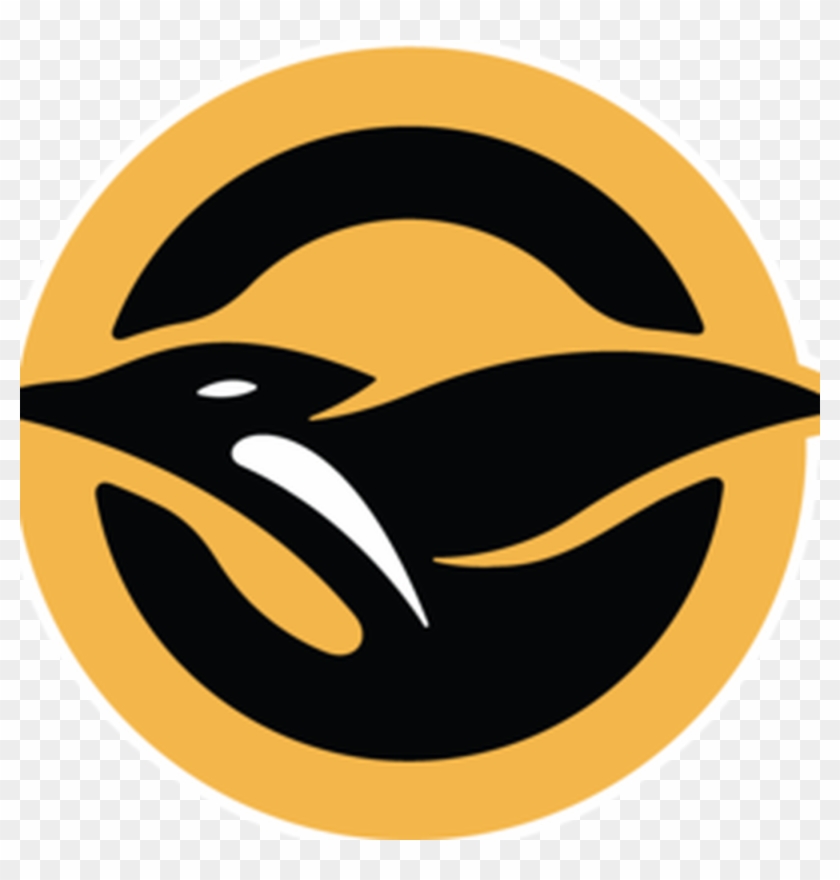 Panty Flash Teacher - Pittsburgh Penguins #1755270
