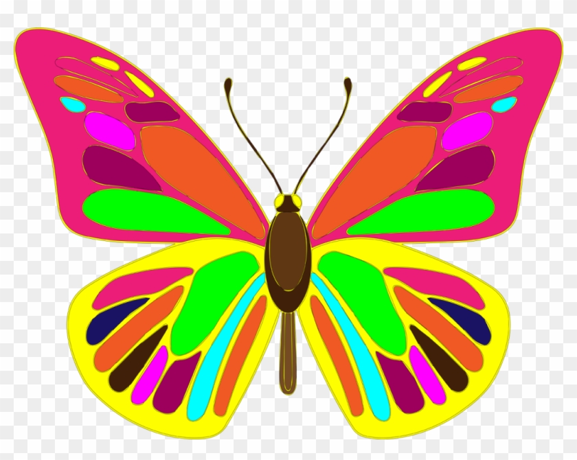 Free Butterfly Vector Art - Brush-footed Butterfly #1755490