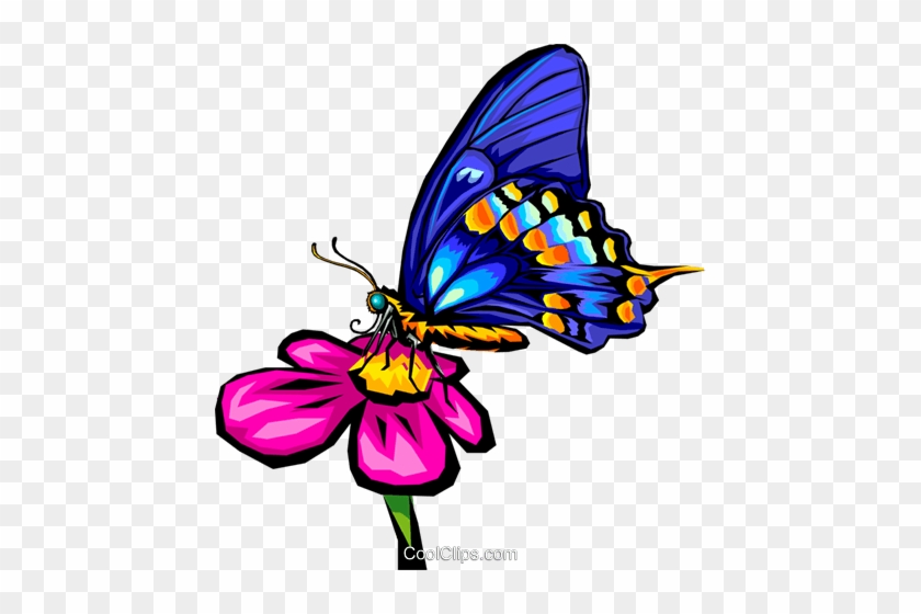 Butterfly Royalty Free Vector Clip Art Illustration - Butterfly On Flower Clip Art #1755491