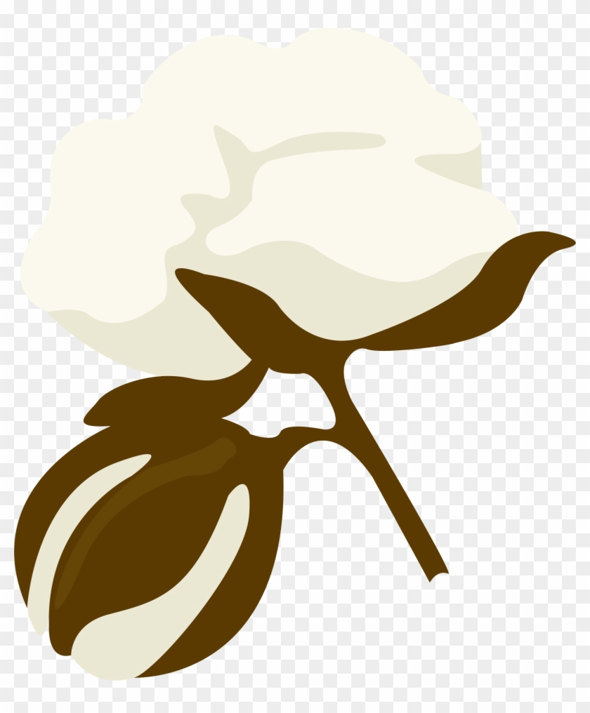 Cotton Bales Harvested In Arizona In - Cotton Bales Harvested In Arizona In #1755709