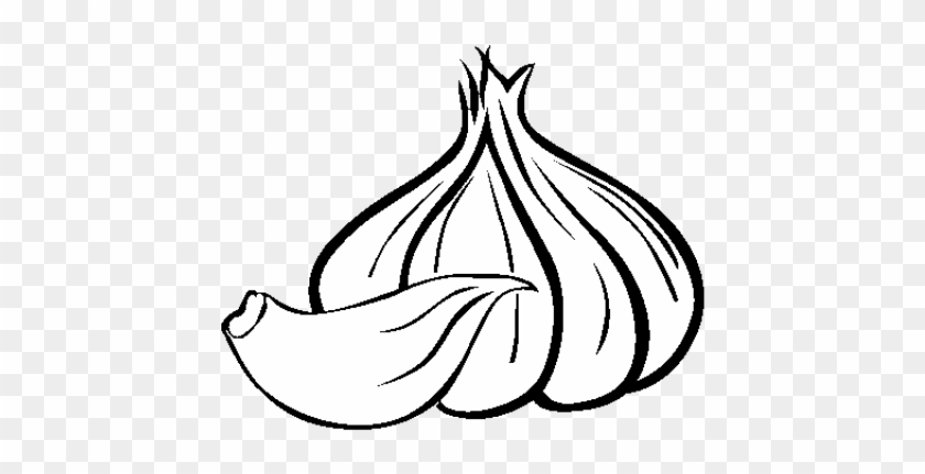 Garlic Clipart Black And White - Ajo Para Pintar #1755926