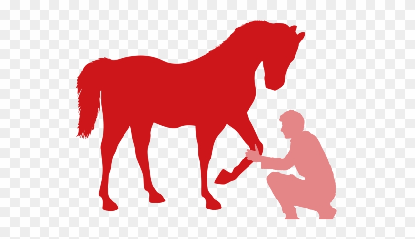 Cosmetics - Stallion #1755950