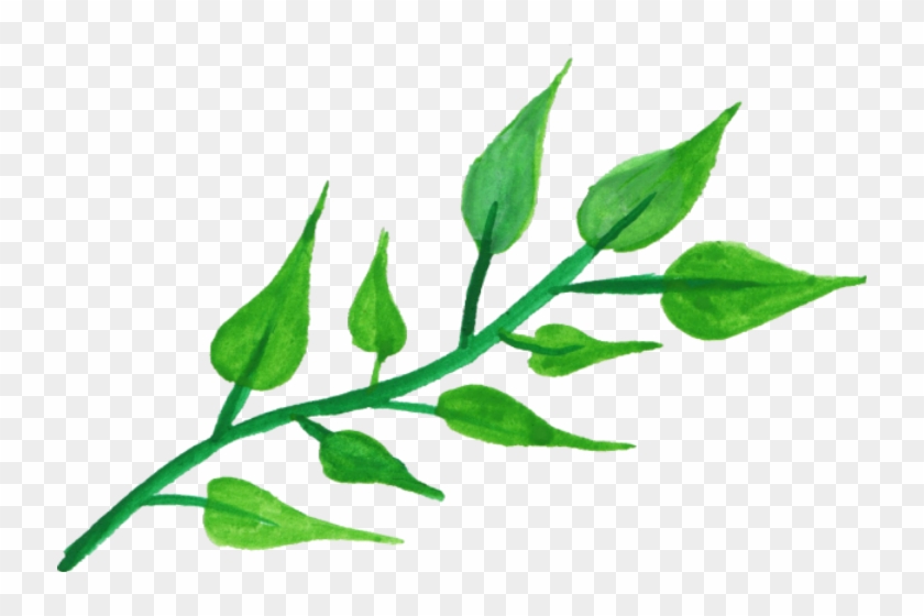 Png Transparent Leaf Watercolor Png #1756115