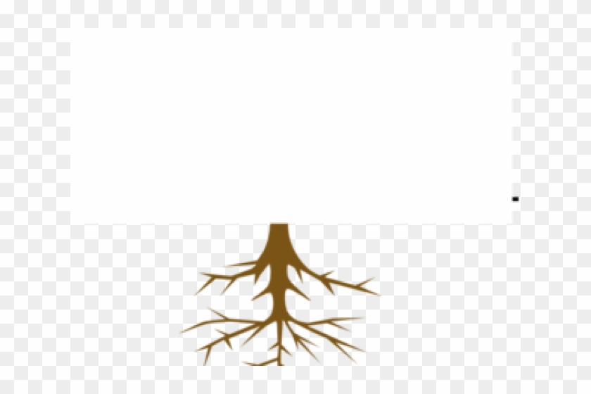 Roots Clipart Rooted Tree - Illustration #1756230