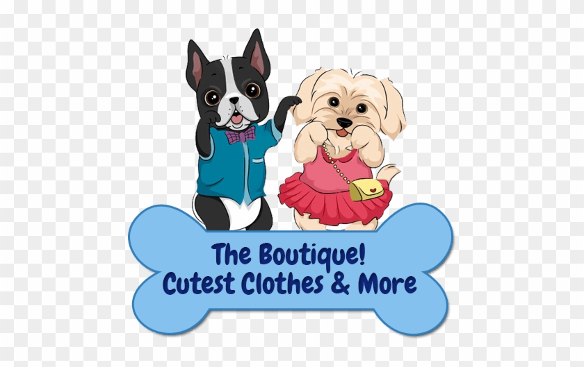 Welcome To The Beautiful Puppy Boutique We Have The - Dog #1756420