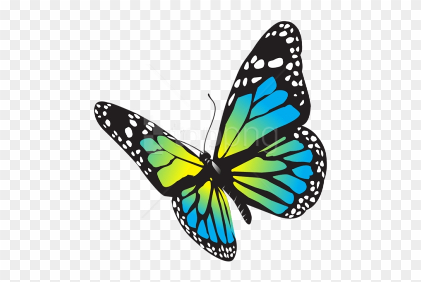 Free Png Large Butterfly Png Images Transparent - Butterfly Png Free #1756448