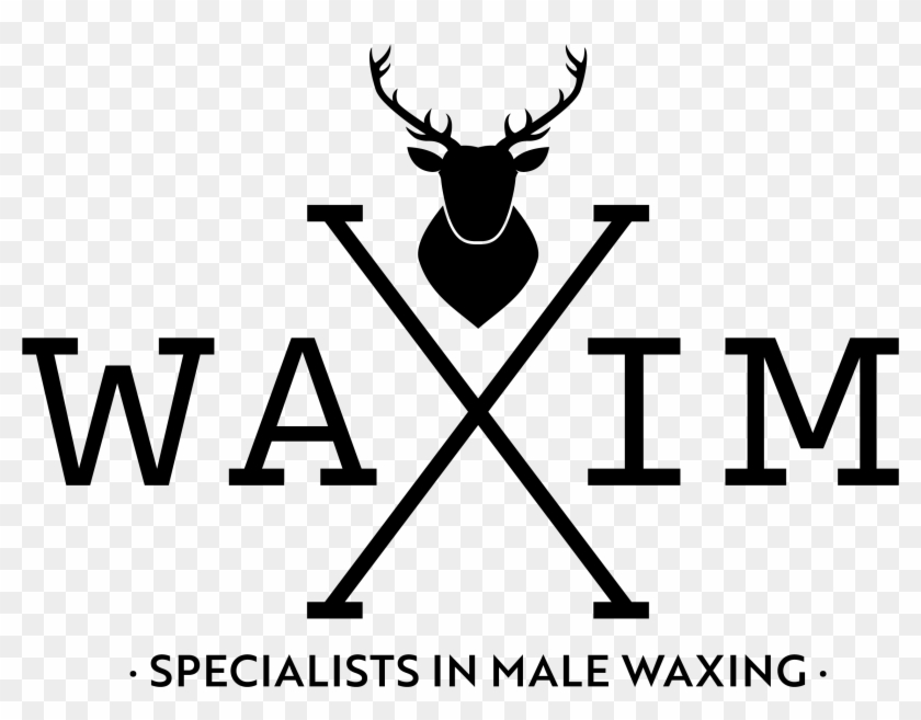 Intimate Waxing Specialist Neots For Men Png Scrotum - Deer #1756631