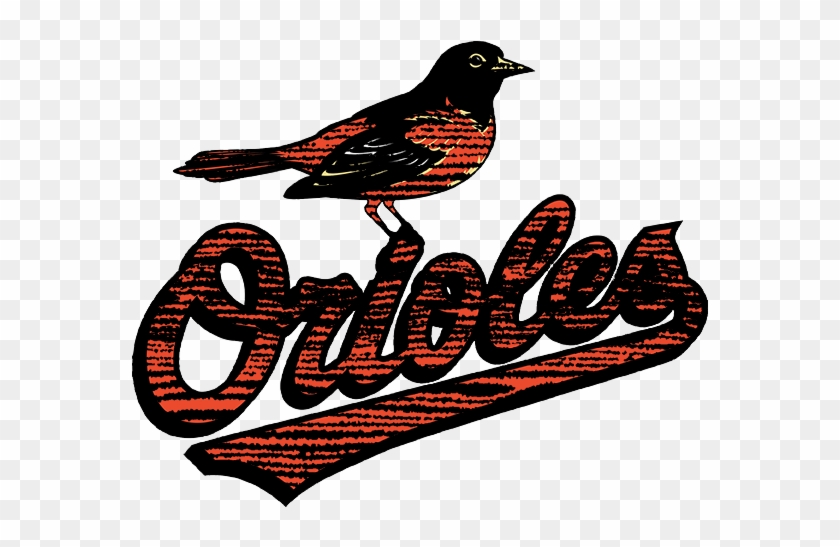 Baltimore Orioles 2009-present Primary Logo Distressed - Robin #1756700