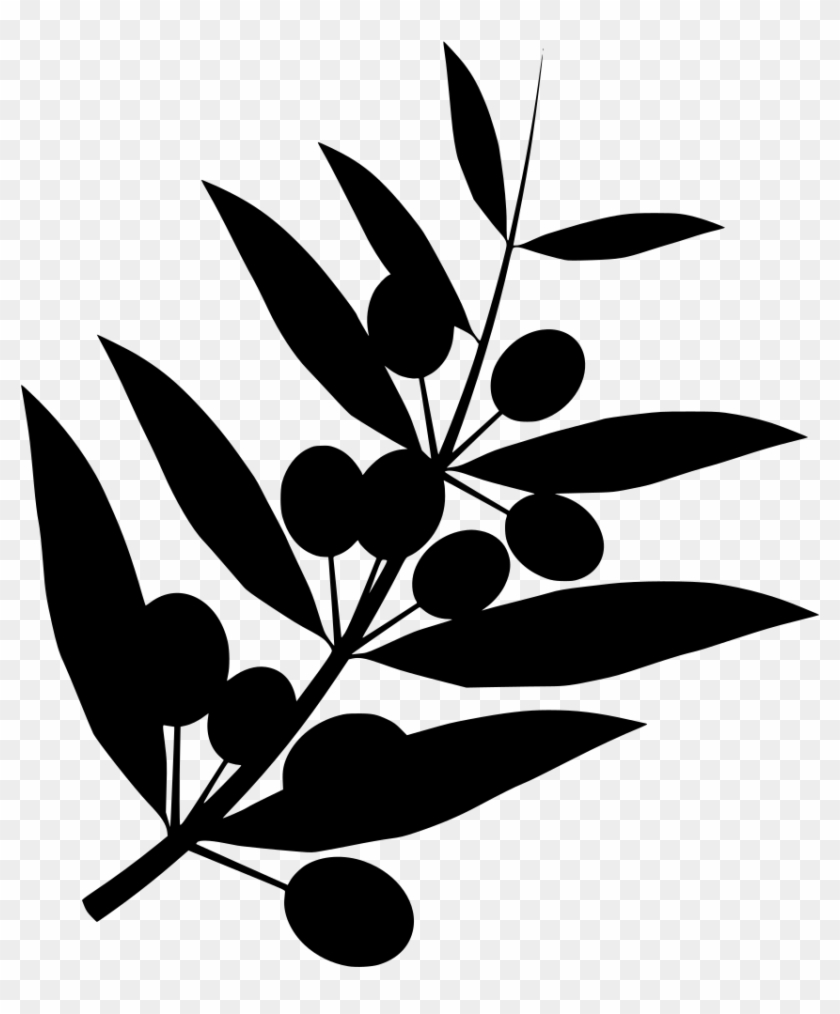 Info - Olivenzweig Png #1756901