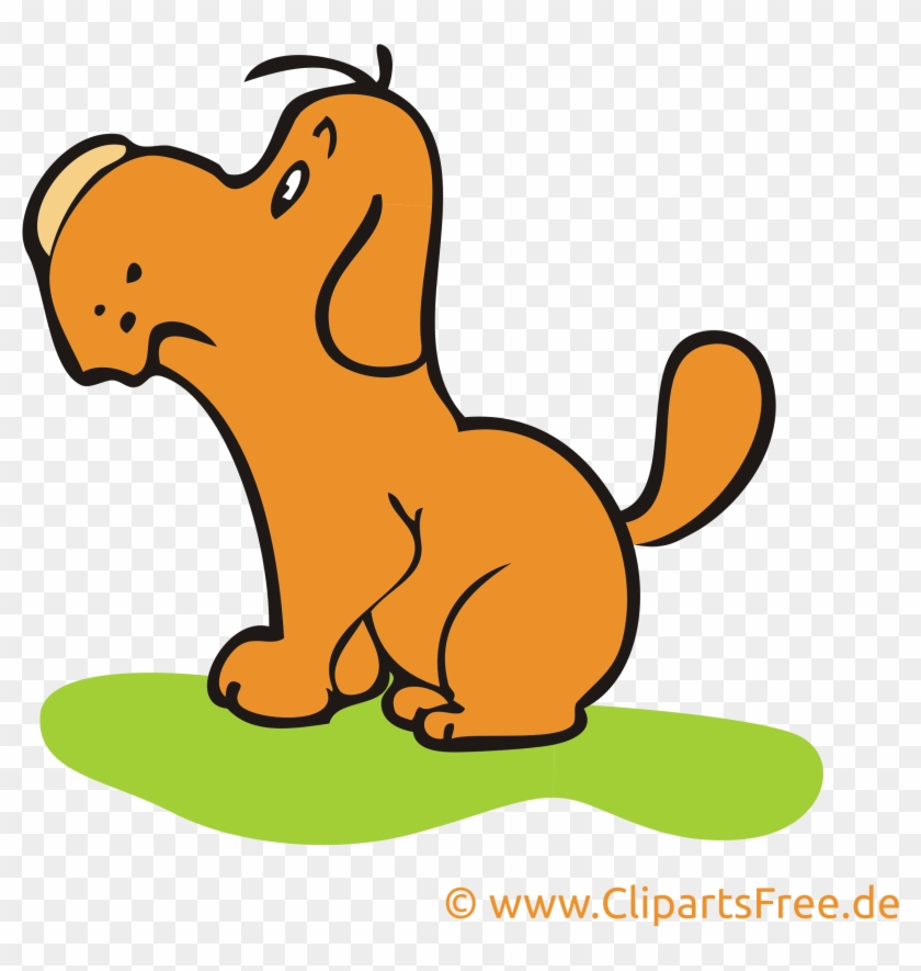 Ferme Chien Image À Télécharger Gratuite - Dog #1756973
