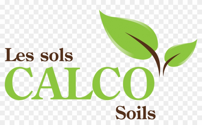 Sponsors - Graphic Design #1757299