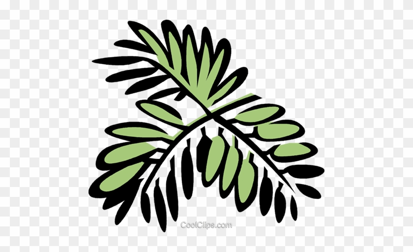 Mimosa Royalty Free Vector Clip Art Illustration - Mimosa Royalty Free Vector Clip Art Illustration #1757382