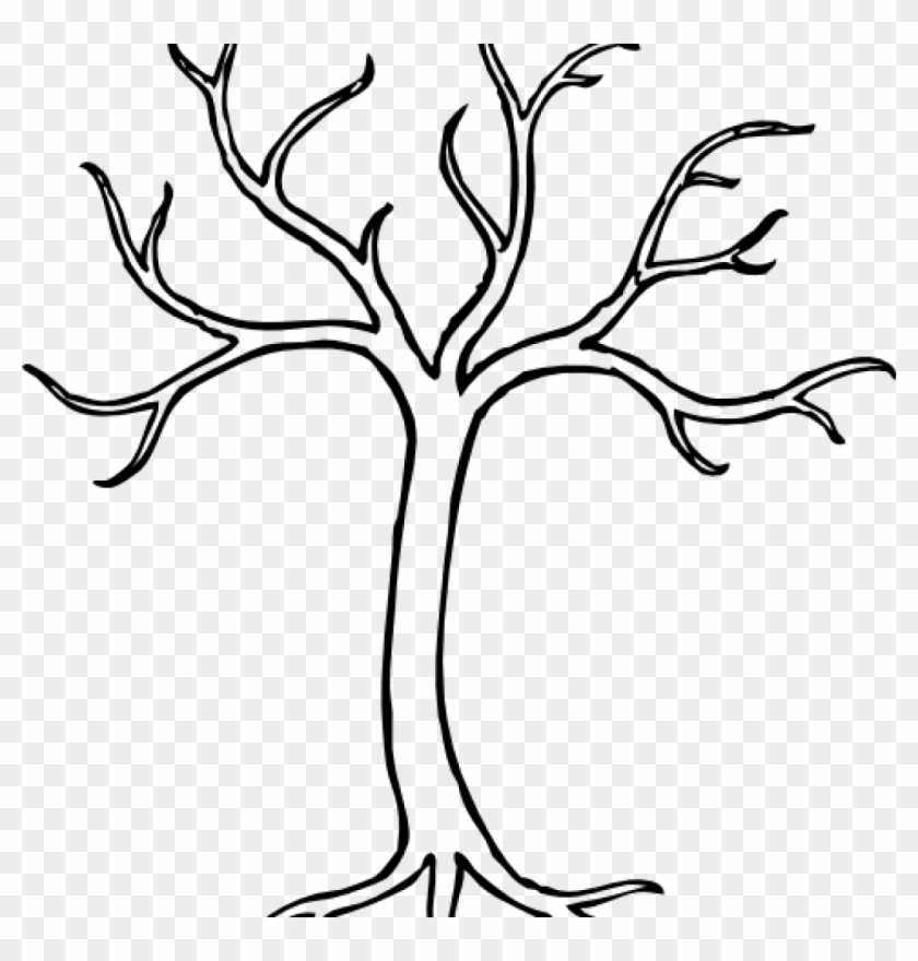 Tree Clipart Black And White Black And White Bare Tree - Tree Clipart Png Outline #1757535