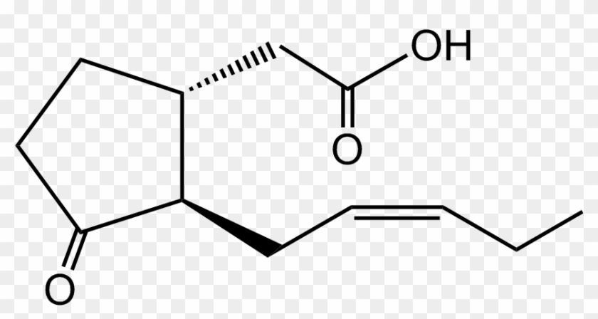 Jasmonic Acid , Is A C12 Fatty Acid Which Is Is Biosynthesized - /m/02csf #1757928