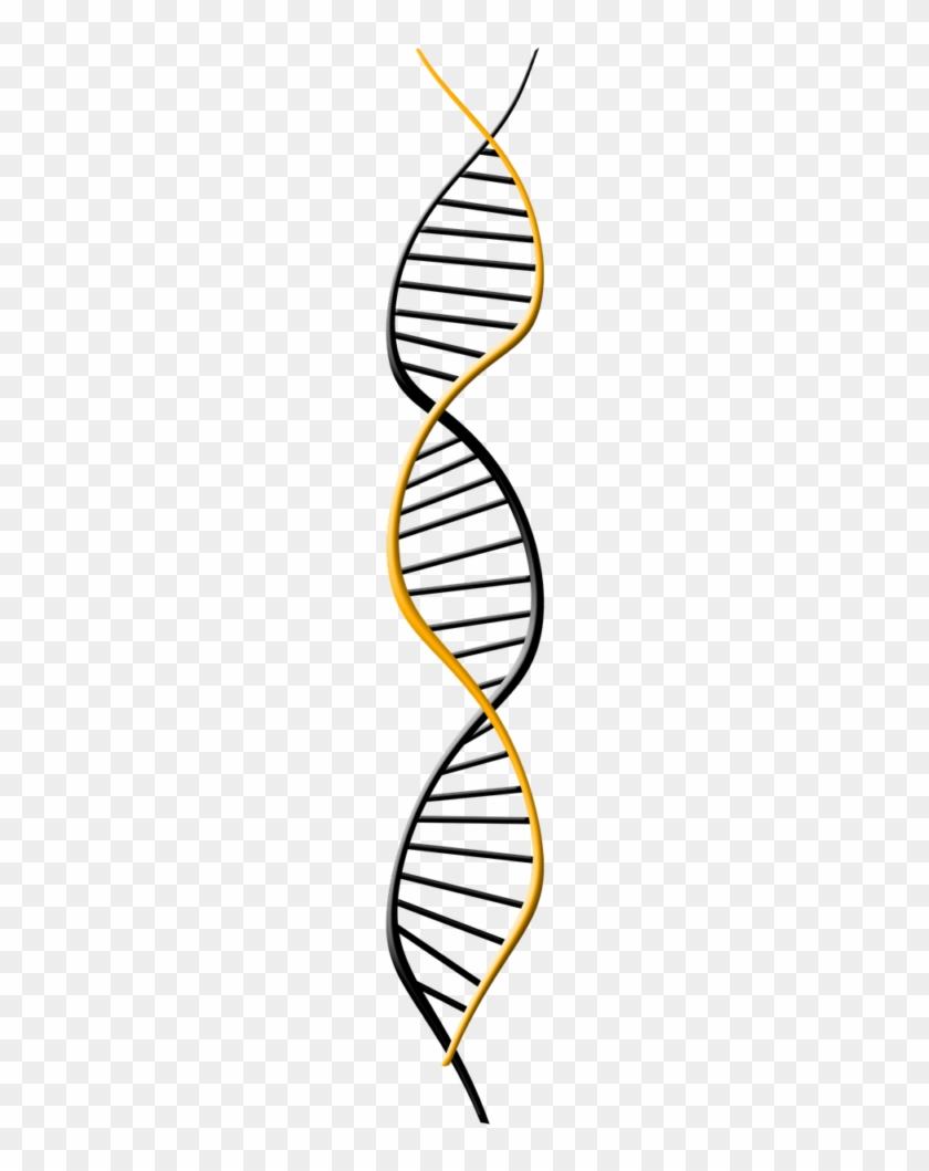 These Sickle Shaped Cells Can Get Stuck In Blood Cells, - Genomic Dna #1758096