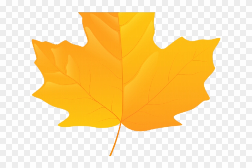 Autumn Leaves Clipart Yellow - Maple Leaf Png Yellow #1758169