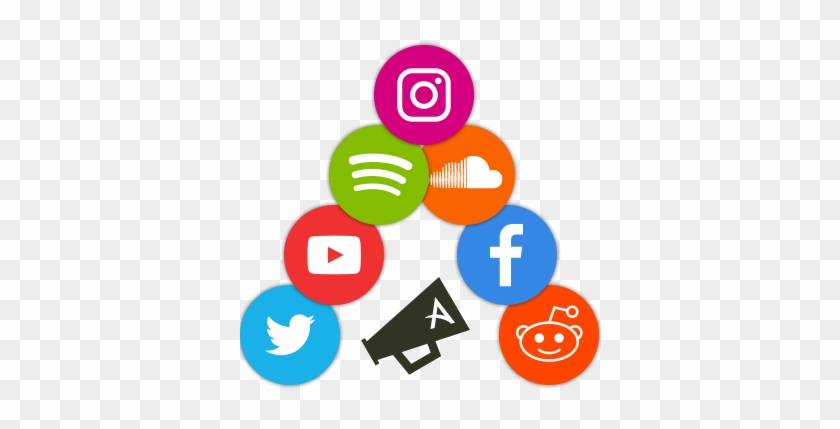 Social Media Packages We Have Different Packages For - Website To Social Media #1758193