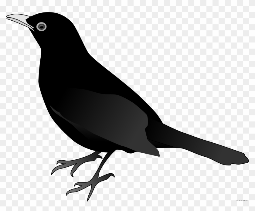 Huge Bird Animal Free Black White Clipart Images Clipartblack - Clip Art Of Black Bird #1758214