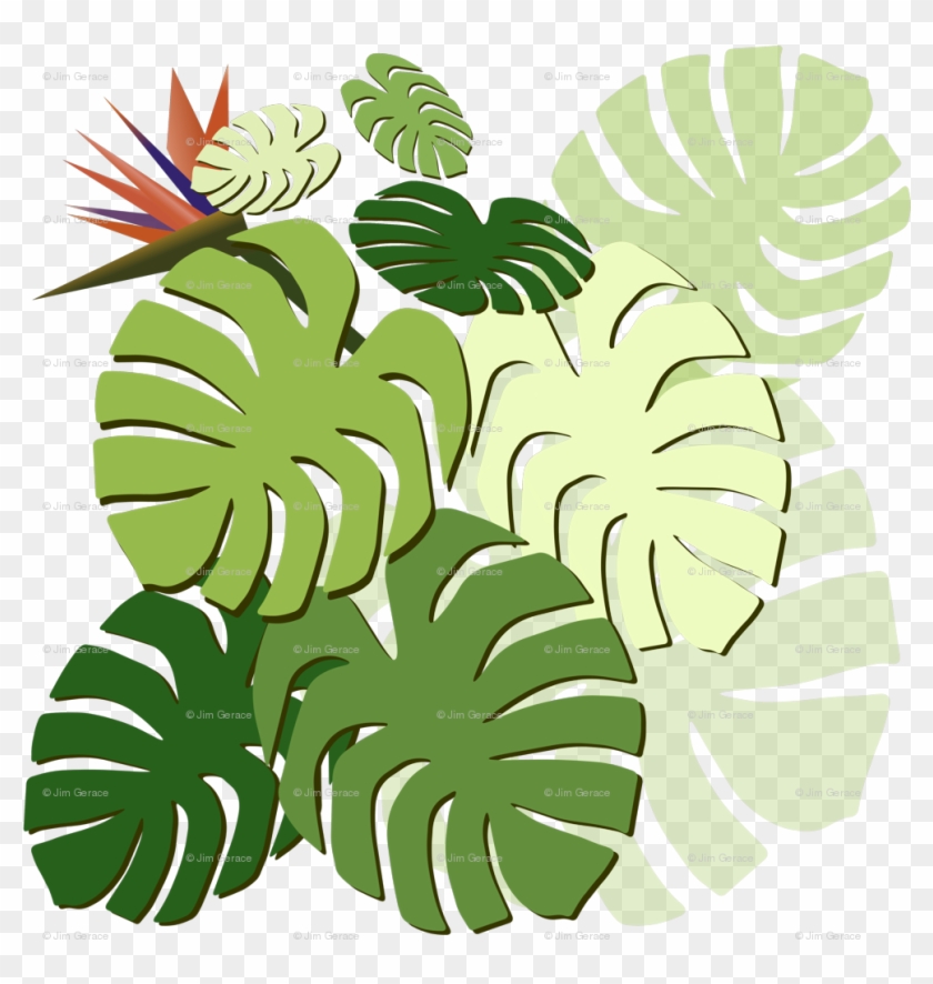 Monstera Cluster Various With Bird Of Paradise Fabric - Monstera Cluster Various With Bird Of Paradise Fabric #1758216