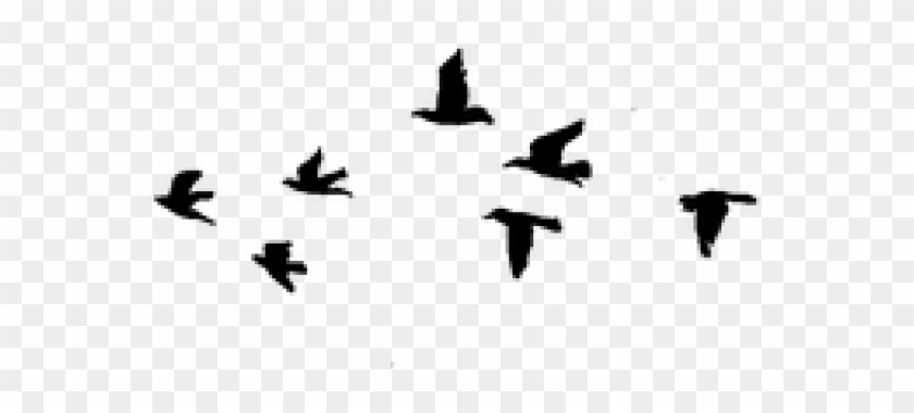 Birds Flying Transparent Transparent Background - Flying Birds Drawing Black #1758217