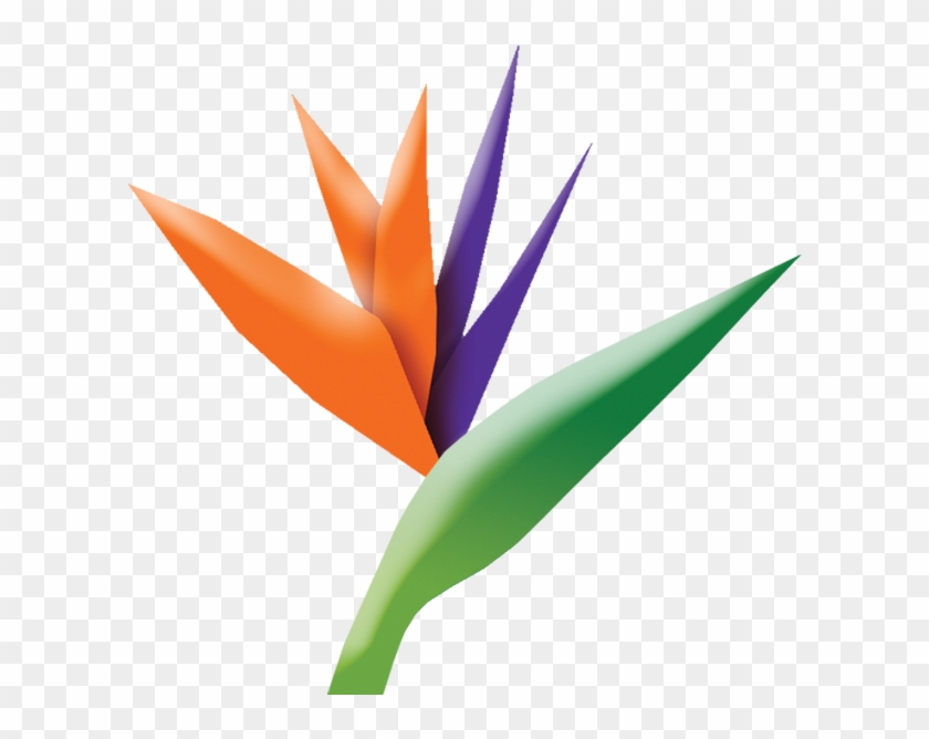 Tlp Logo - Bird Of Paradise #1758228