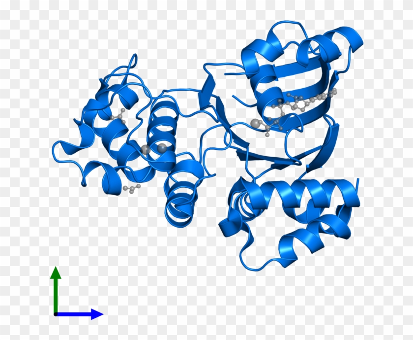 <div Class='caption-body'>pdb Entry 1xfa Contains 1 - Graphic Design #1758454