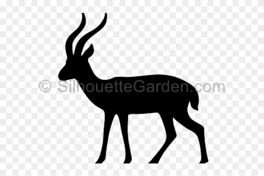 Animal Clipart Gazelle - Thomson's Gazelle #1758762