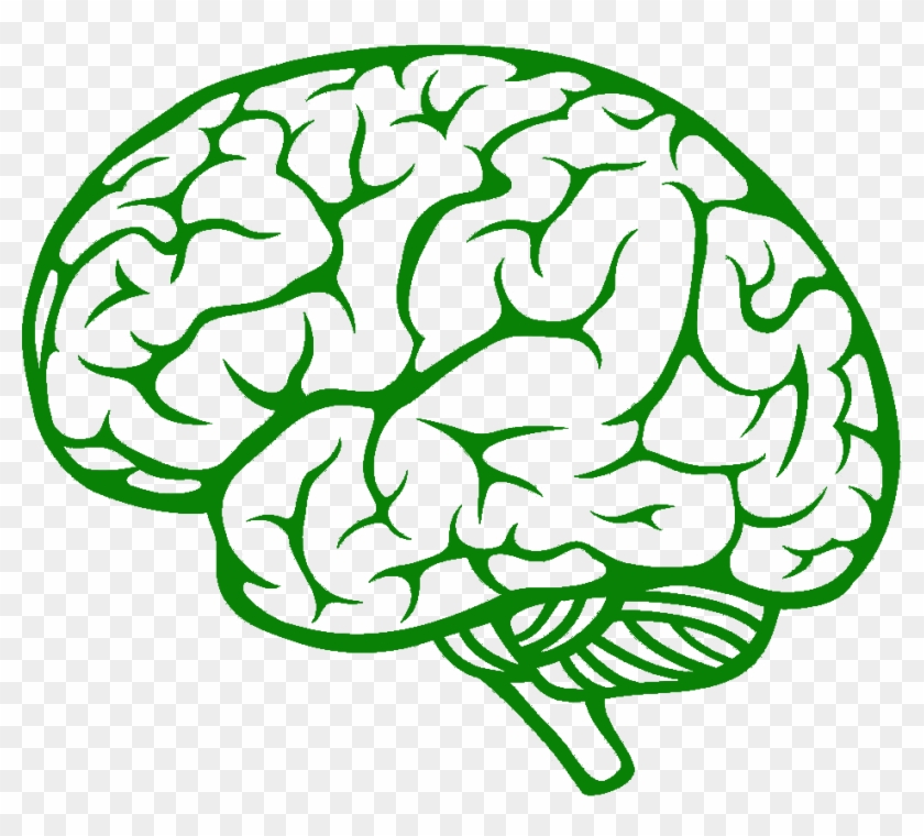 Brain Side View Vector #1759336