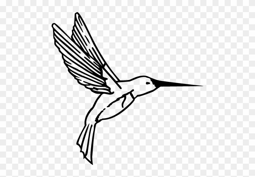 Hummingbird #1759507