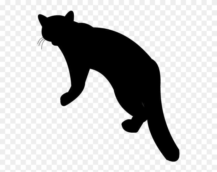 Andean Cat Silhouette By Grandechartreuse - Cat #265177