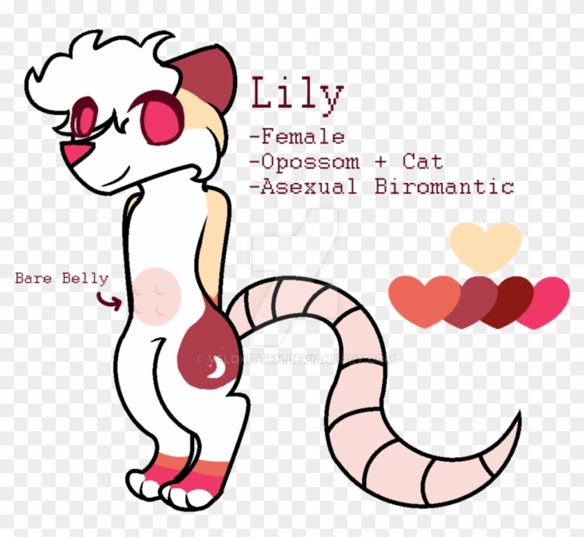 Lily The Opossum Cat By Velokitten - Cat #265263
