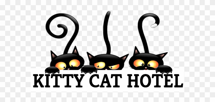 Kitty Cat Hotel In Eugene Oregon - Custom Yours Ynytsyal Three Girlfriends Black Cat Custom #265403