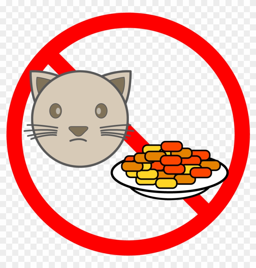 School And Study - Do Not Feed Cat #265413