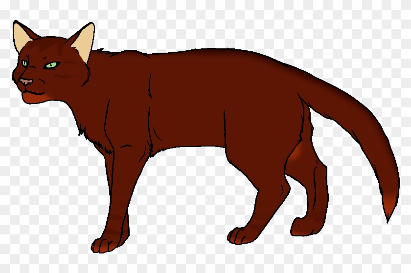 Dark Ginger - Thunderclan #265500