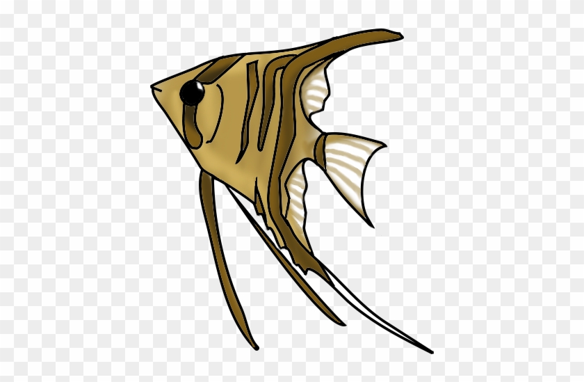 Orange Cat Fish Png - Freshwater Angelfish #265548