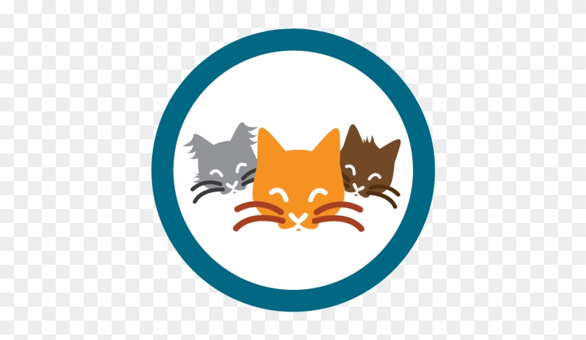 $20 - 00/day - Cat #265619