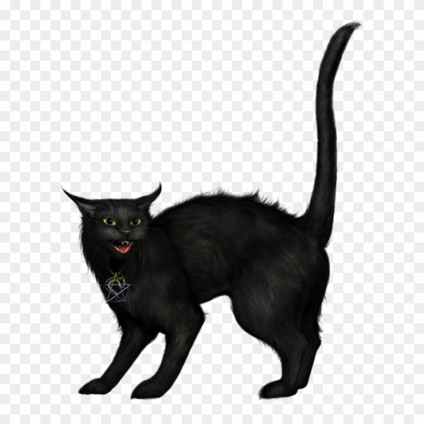 Creepy Black Cat Png Picture - Chat Noir Halloween Gif #265653