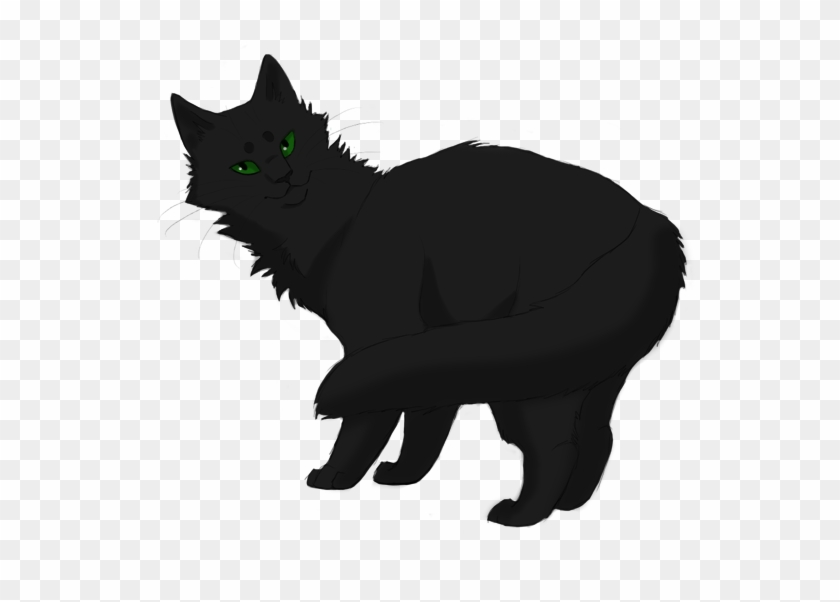 Forever Warriors Cats Fan Art - Warrior Cats Hollyleaf #265655