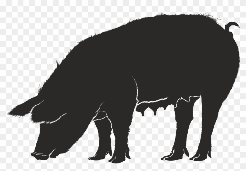 Free Clipart Of A Hog - Pig Silhouette Vector #265659