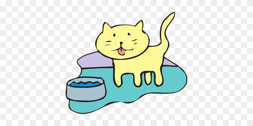 Cat Water Bowl Pet Animal Cat Cat Cat Cat - Cat Water Bowl Clipart #265671