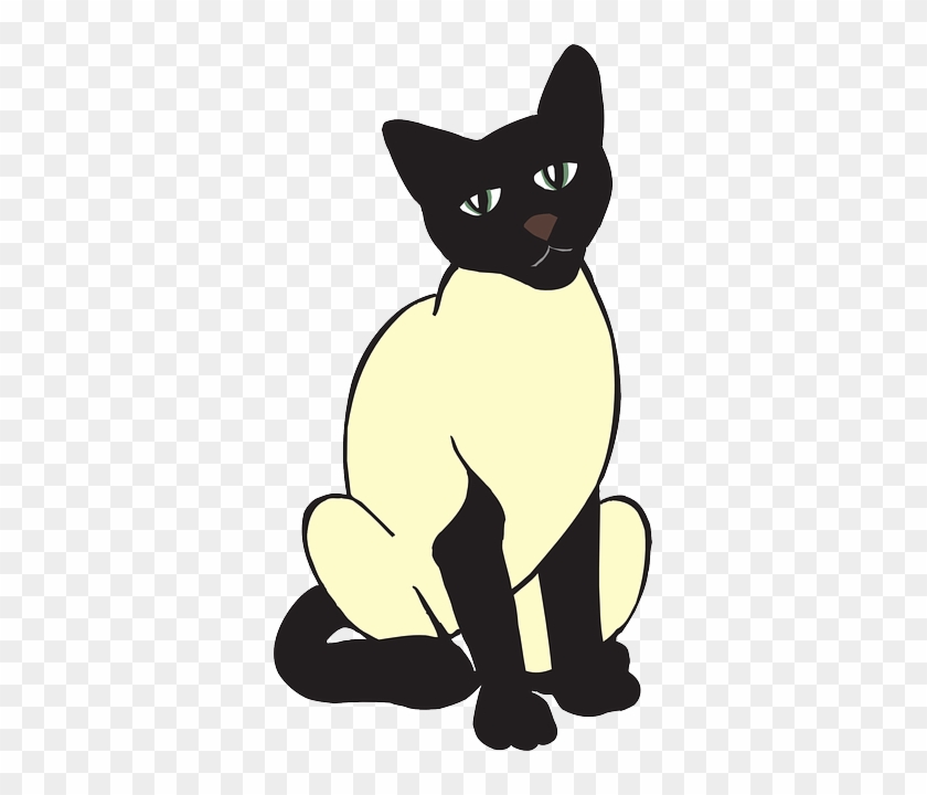 Breed Cat, Pet, Animal, Staring, Siamese, Breed - Siamese Cat Clipart #265686