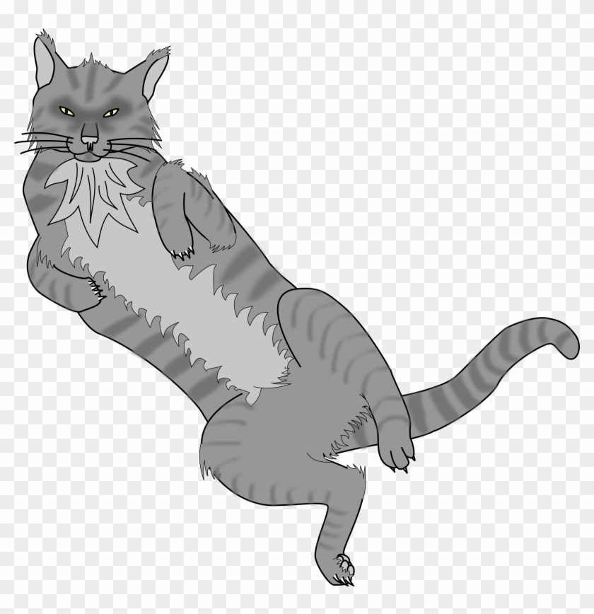 Cat, Old, Gray, Cute, Pet, Tail, Back, Animal, - Cartoon Cat Lying On Back  - Free Transparent PNG Clipart Images Download