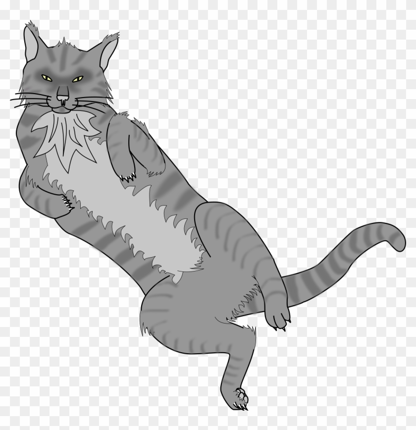 Cat, Old, Gray, Cute, Pet, Tail, Back, Animal, - Cartoon Cat Lying On Back #265784