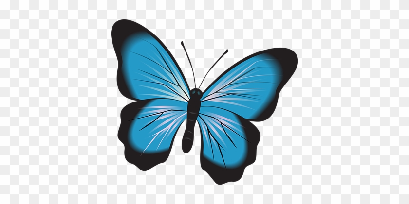 Butterfly, Blue, Clip Art, Insect - Imagini Cu Fluturi #265832