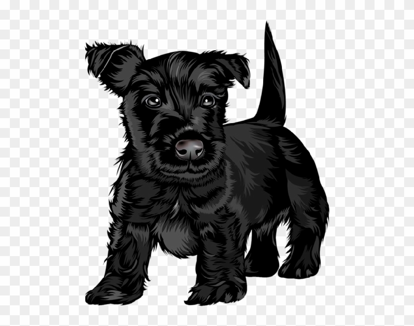 Black Dog Clipart - Black Scottish Terrier Dog Pillow #265878