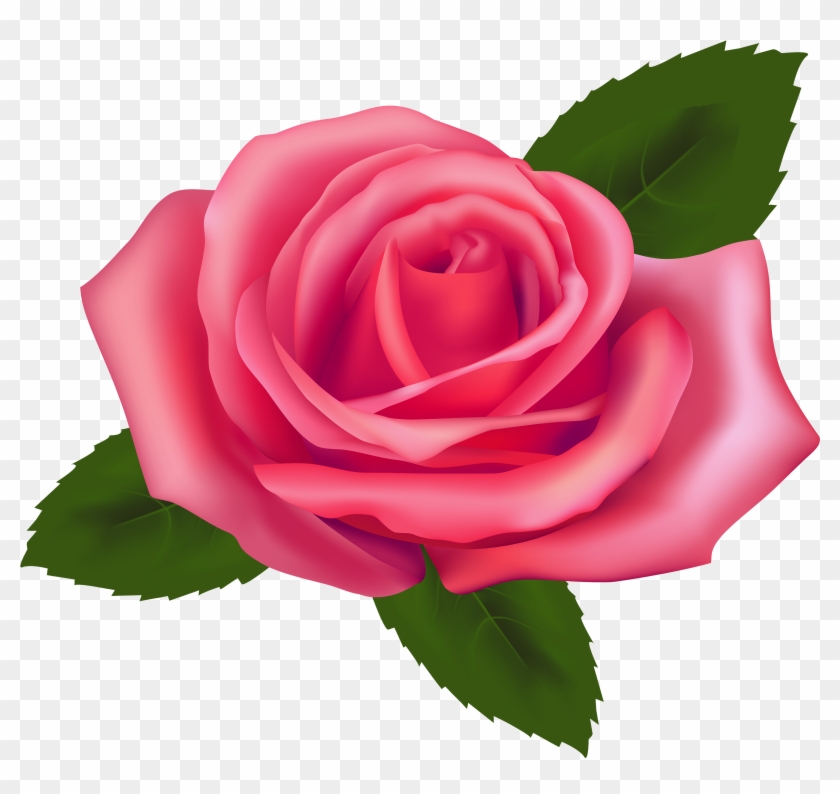 Beautiful Pink Rose Png Clipart - Rose Clip Art Png #265962