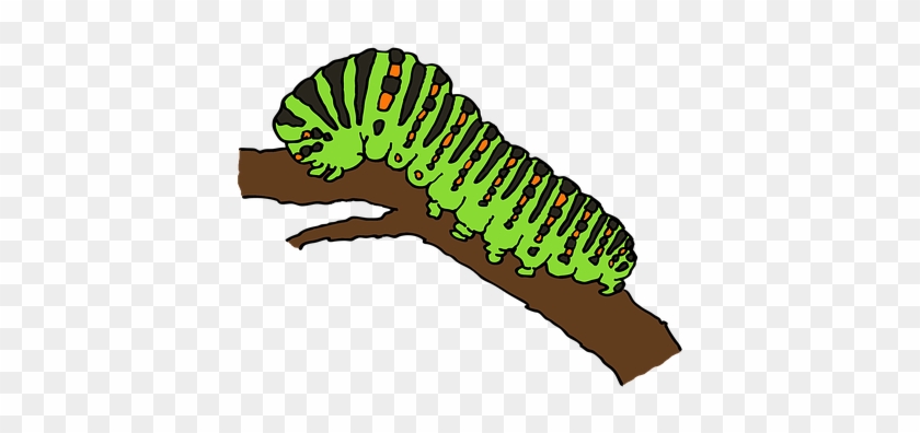 Caterpillar, Butterfly, Stage - Animasi Gambar Ulat #265992