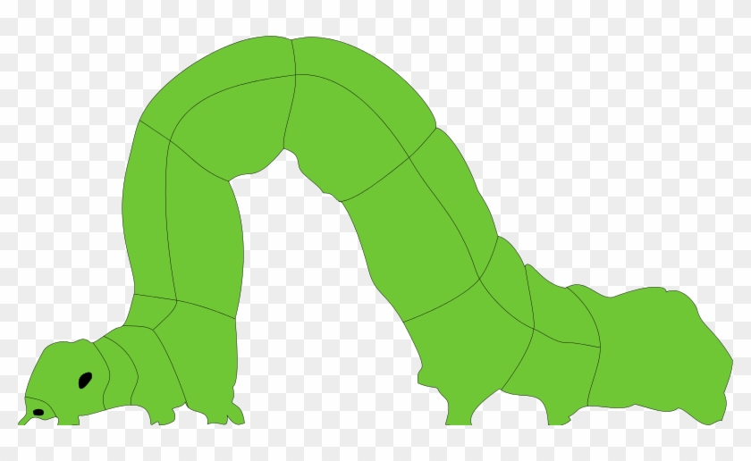 Inchworm Clipart #266022